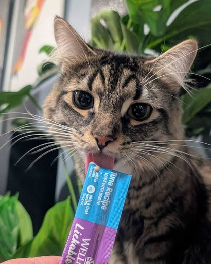 WELLNESS LICKABLE TREATS (6 TUBES)