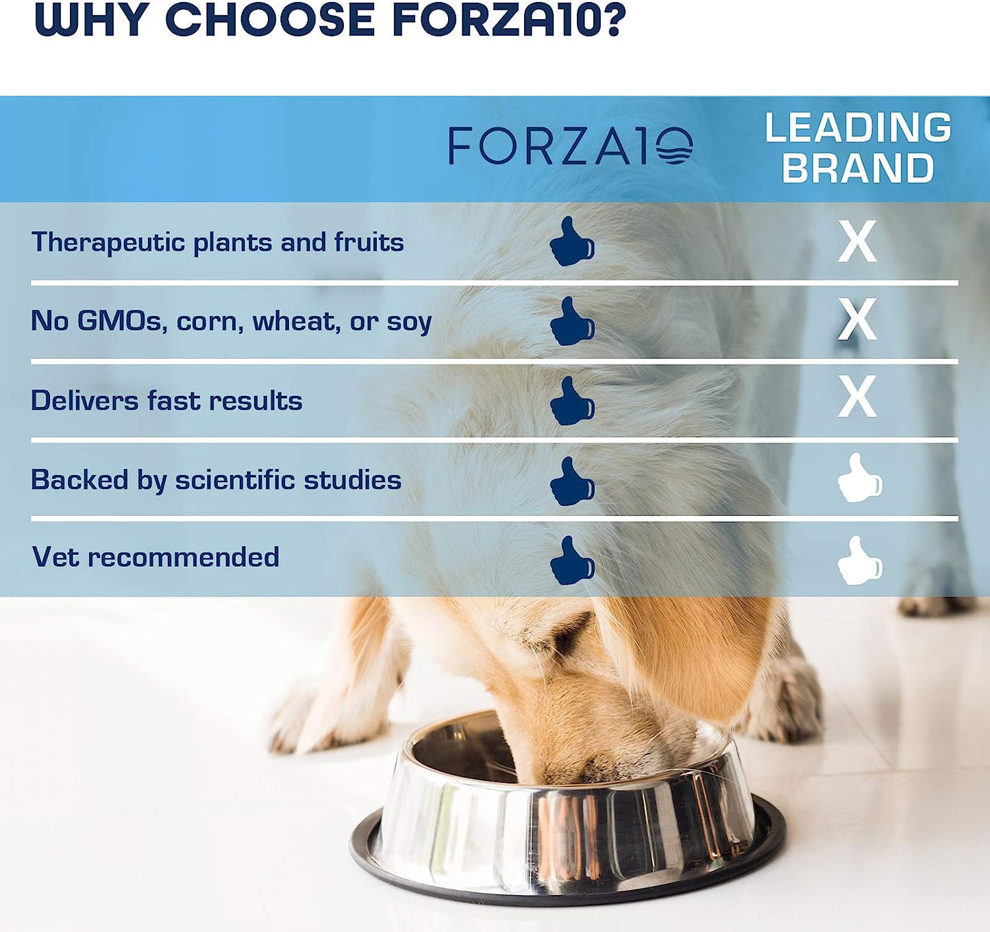 FORZA 10 COMIDA NUTRACÉUTICA PARA EL CUIDADO RENAL EN PERROS