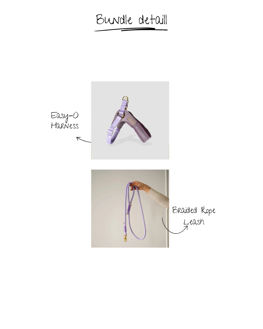 BUNDLE-EASY WALK (LAVENDER)
