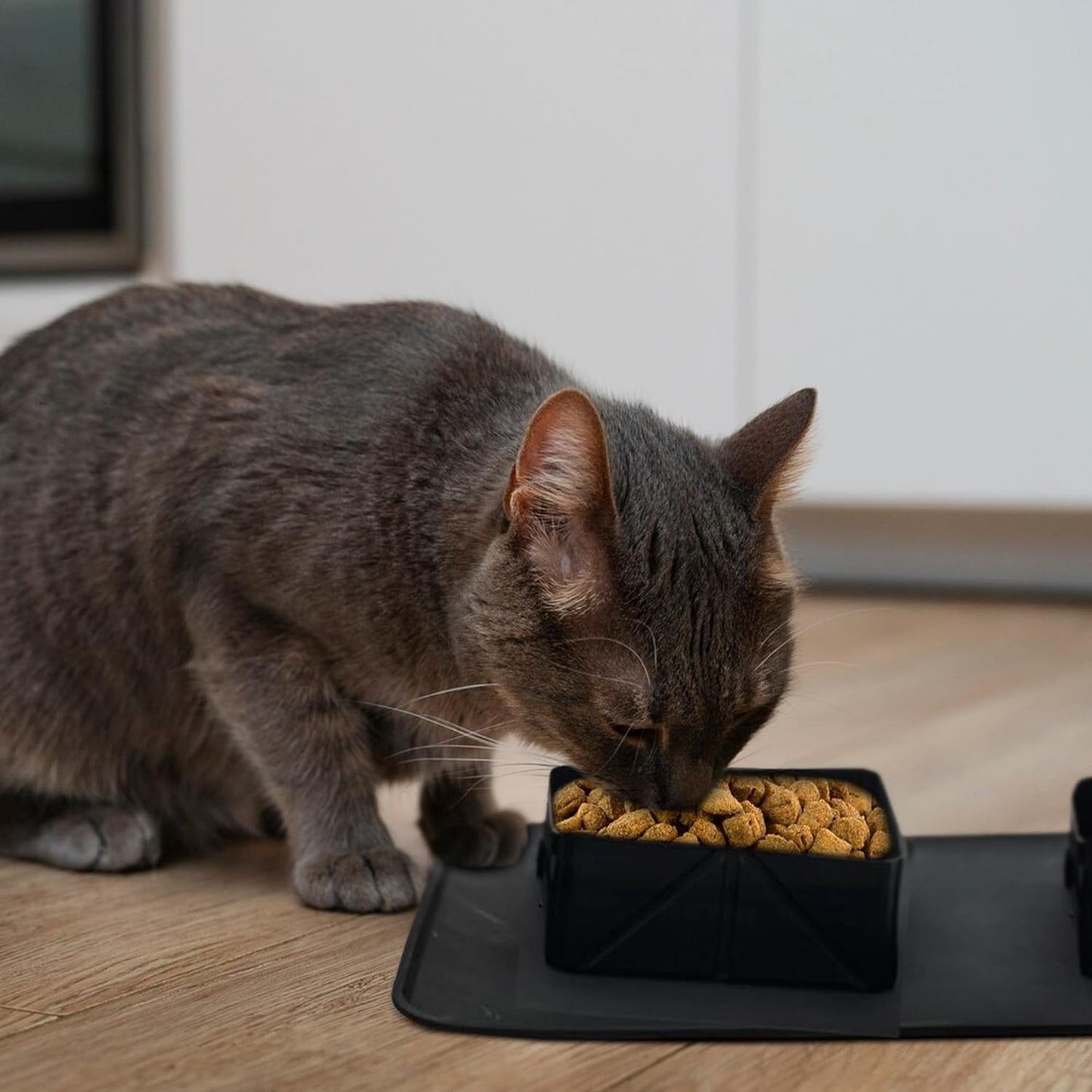 PORTABLE PET BOWL