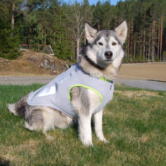 DOG COOLING VEST