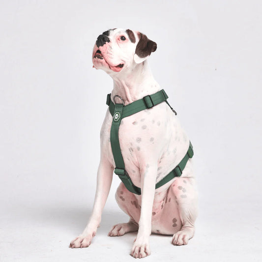 COMFORT CONTROL NO-PULL DOG HARNESS ARMY GREEN