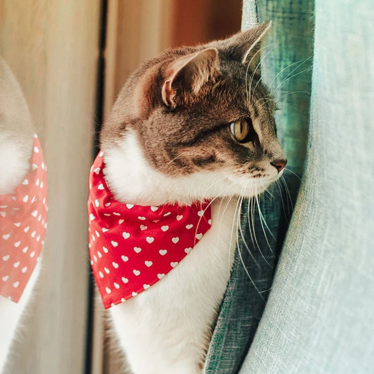 ¨LOVE SONG¨ RED HEART SLIDE-ON BANDANA