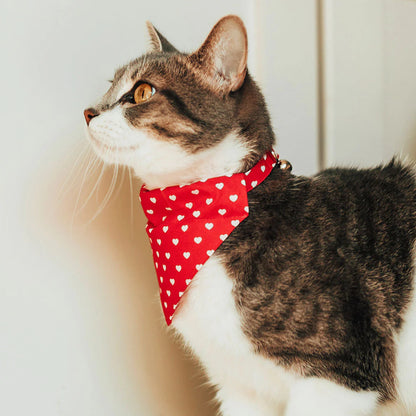 ¨LOVE SONG¨ RED HEART SLIDE-ON BANDANA