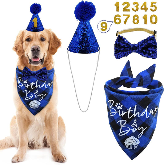 SET DE CUMPLEAÑOS- BOY DOG