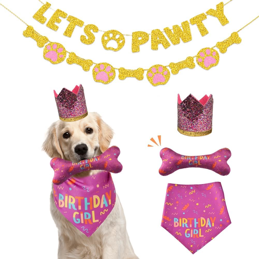 SET DE CUMPLEAÑOS- GIRL DOG