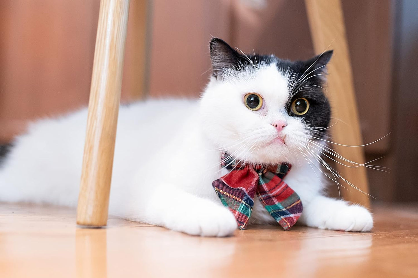 CAT COLLAR RED TARTAN