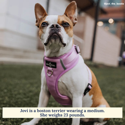 LUCY & CO NO-PULL HARNESS
