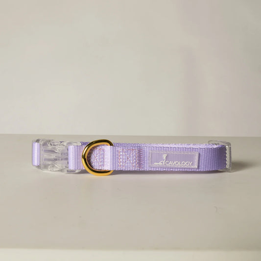 COLLAR - EVERYDAY LAVENDER