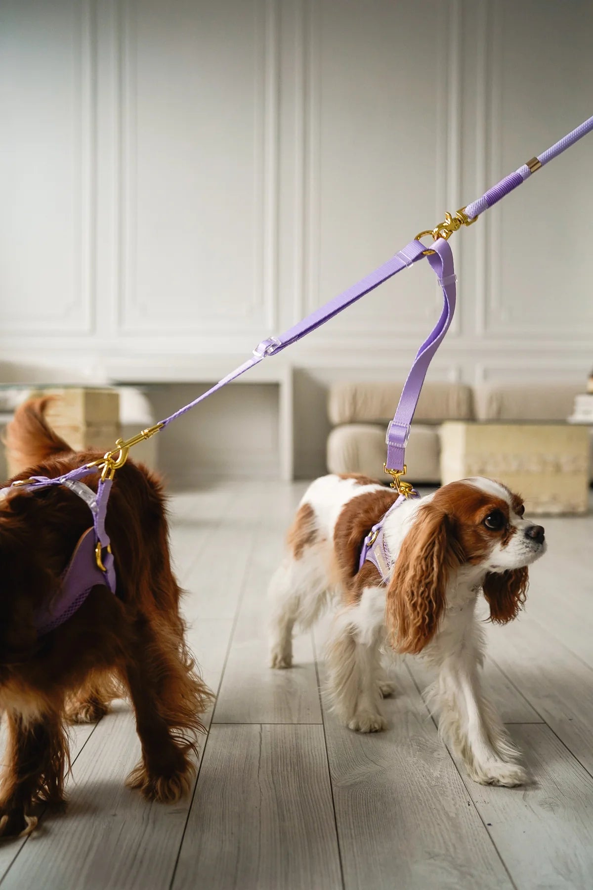 DOG LEASH COUPLER SPLITTER LAVENDER