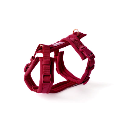 BORDEAUX- COMFORT DOG HARNESS