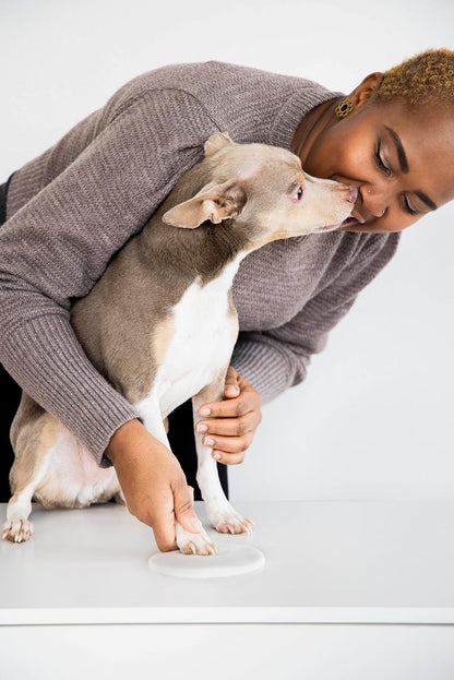 CHRISTMAS PAW PRINT ORNAMENT KIT