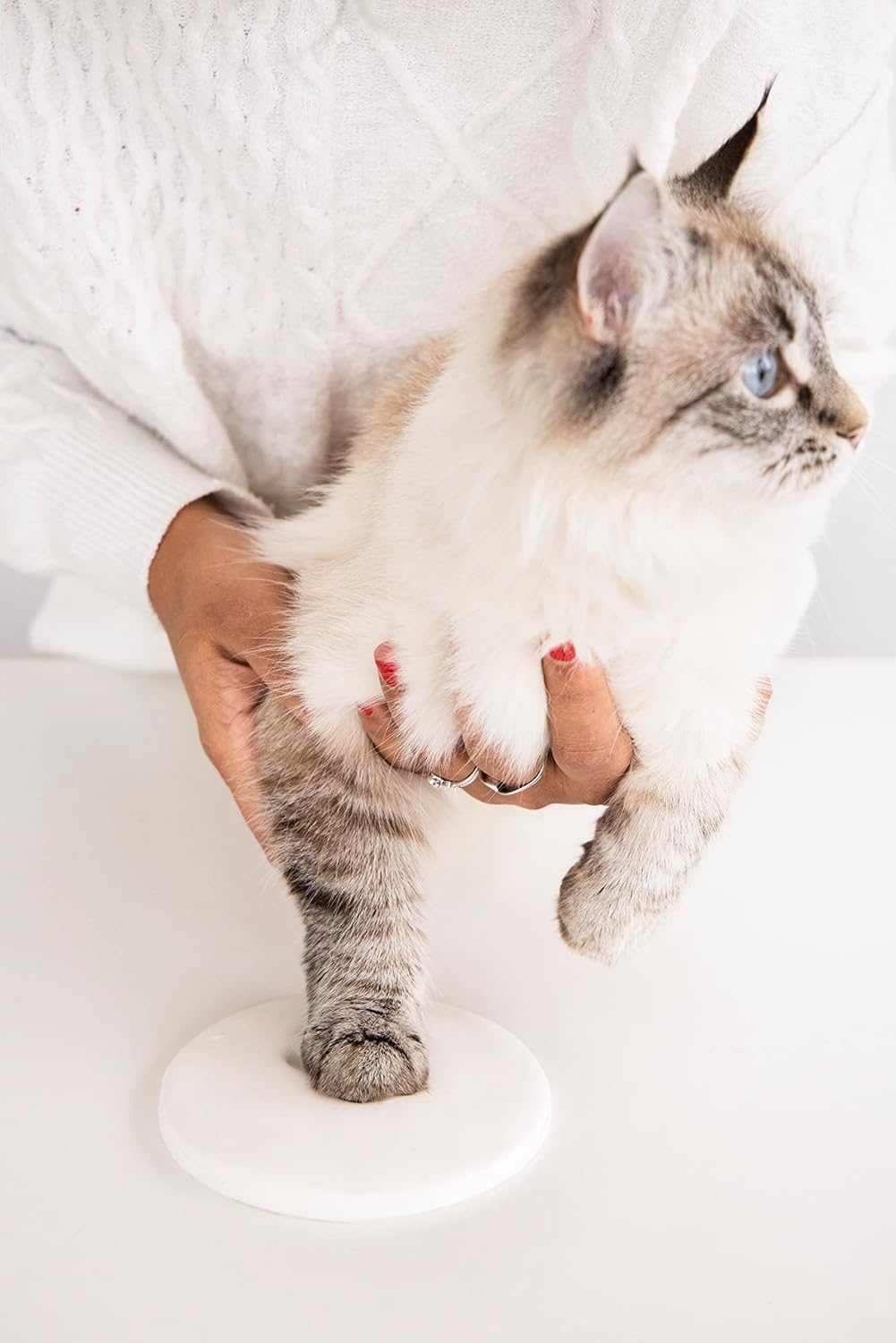 CHRISTMAS PAW PRINT ORNAMENT KIT