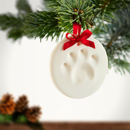 CHRISTMAS PAW PRINT ORNAMENT KIT