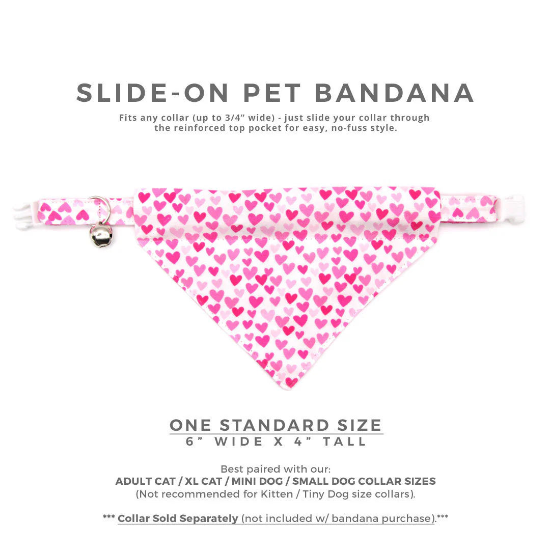 ¨DARLING¨ FUCHSIA PINK HEART SLIDE-ON BANDANA