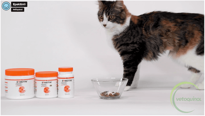 VETOQUINOL EPAKITIN POLVO DE SOPORTE RENAL PARA PERROS Y GATOS