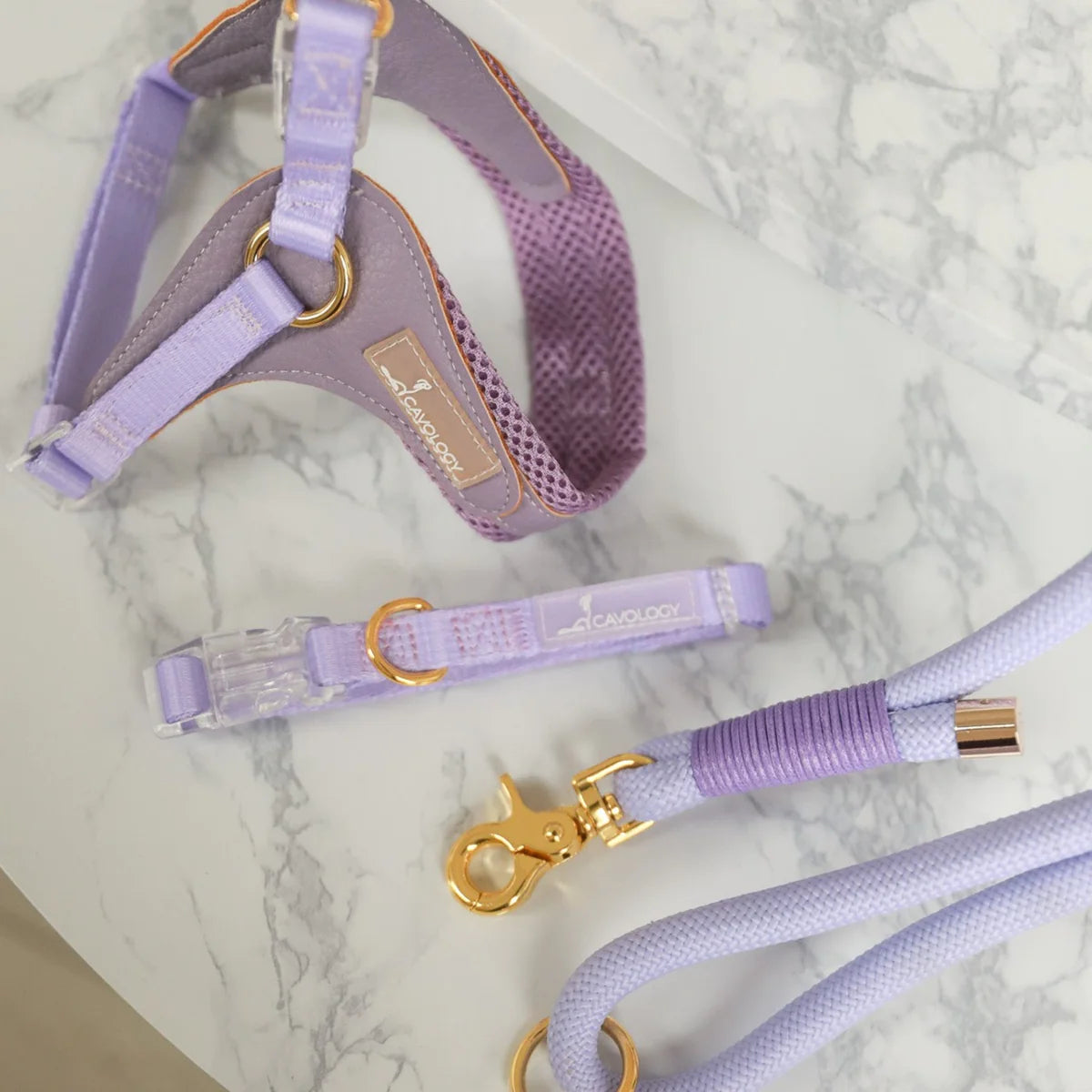 BRAIDED ROPE LEASH LAVENDER