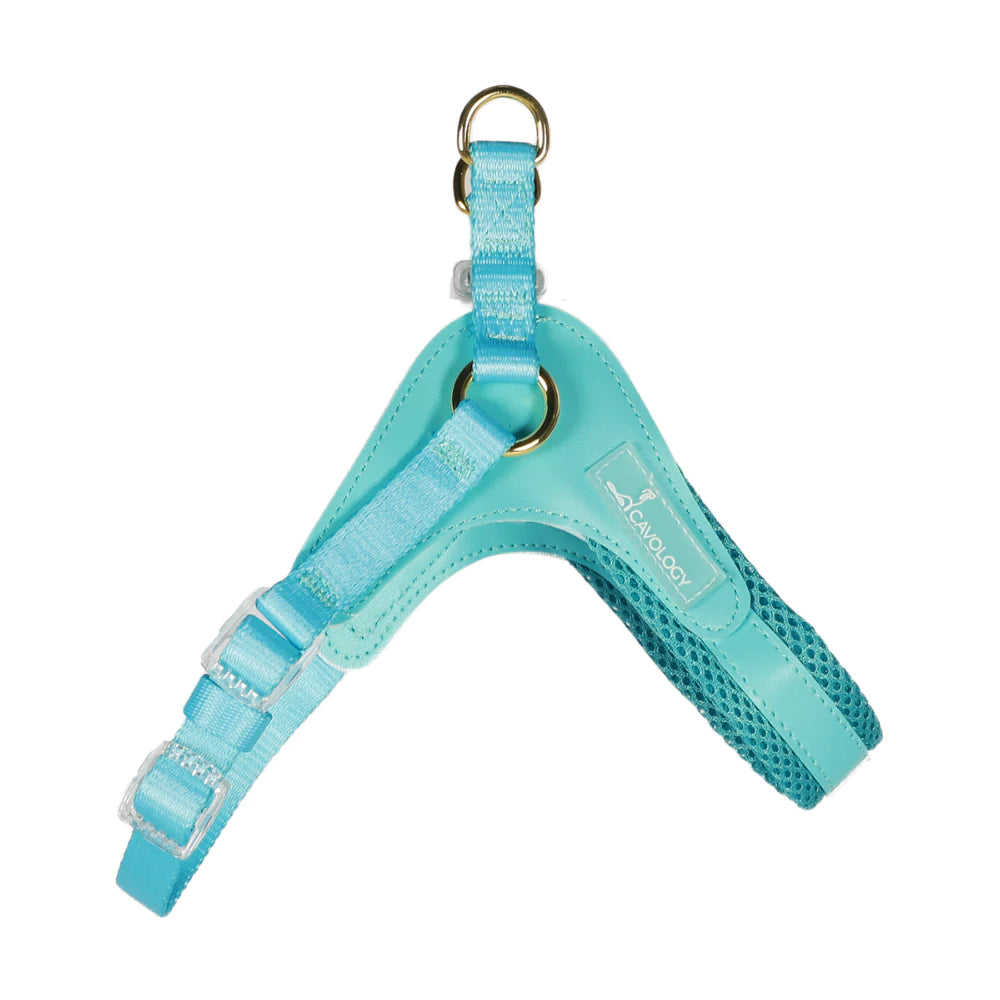 EASY-O STEP IN HARNESS TEAL