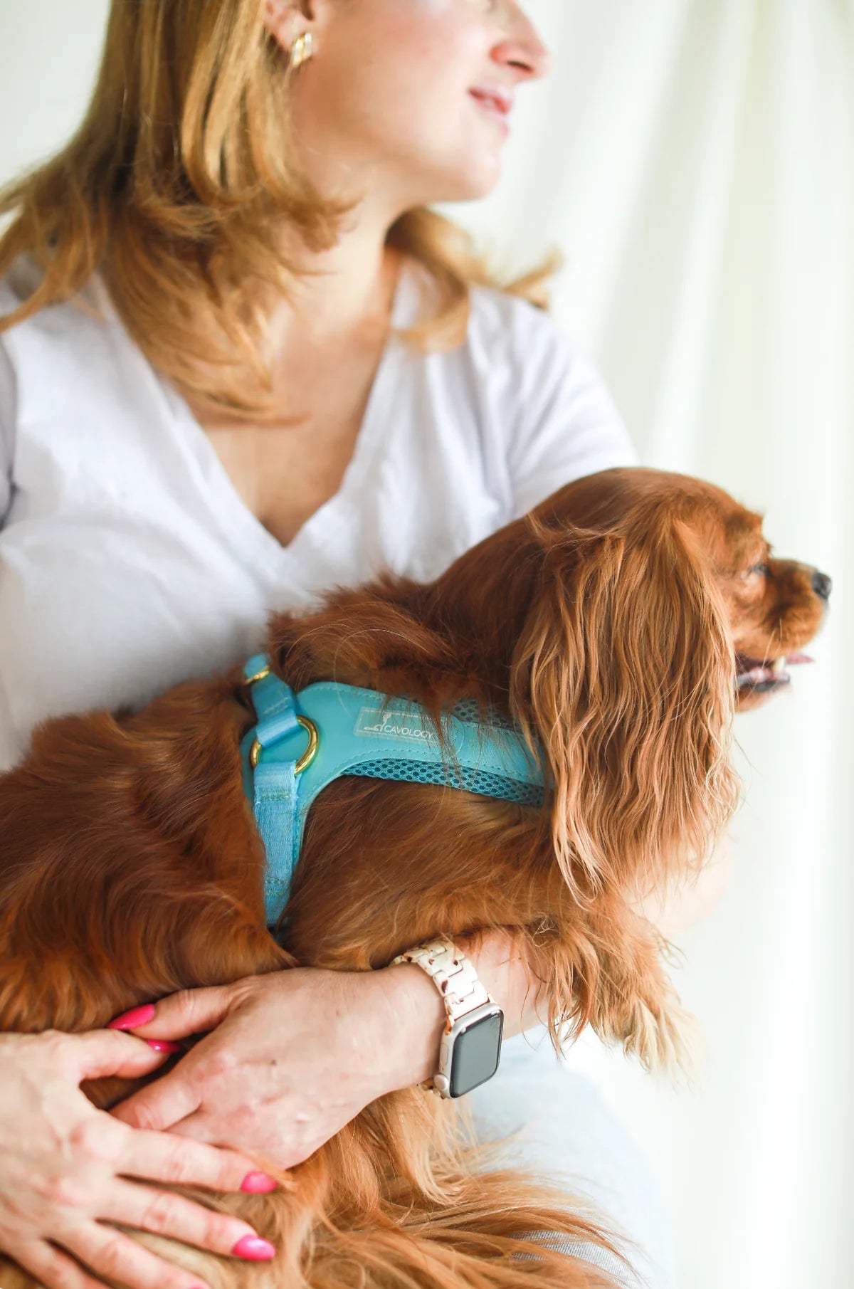 EASY-O STEP IN HARNESS TEAL