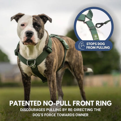 COMFORT CONTROL NO-PULL DOG HARNESS ARMY GREEN