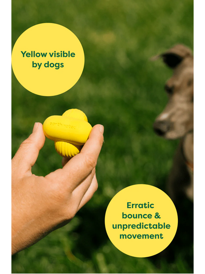 EARTH RATED NATURAL RUBBER FETCH TOY