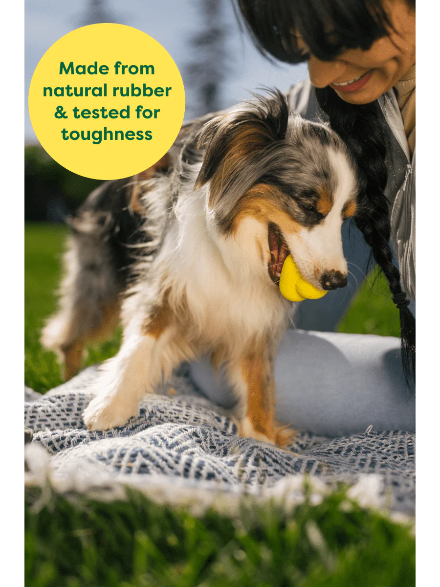 EARTH RATED NATURAL RUBBER FETCH TOY