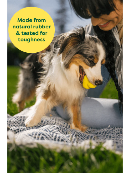 EARTH RATED NATURAL RUBBER FETCH TOY