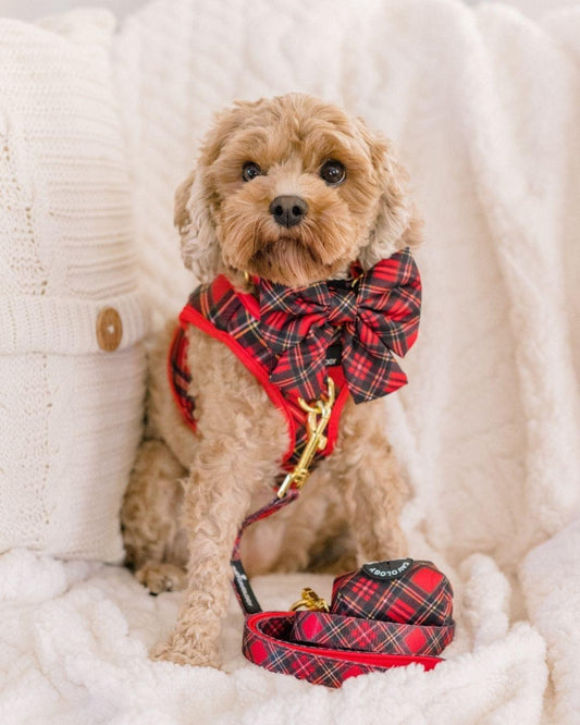 BOW - RED PLAID TARTAN