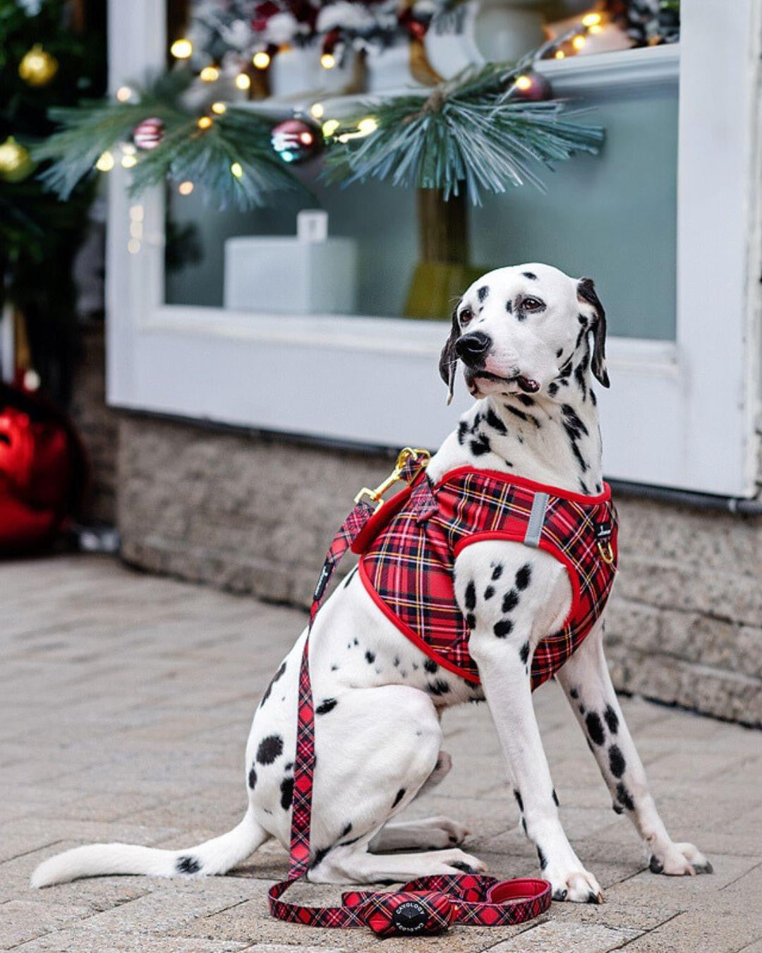 LEASH - RED PLAID TARTAN