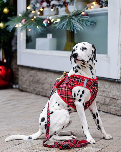 LEASH - RED PLAID TARTAN