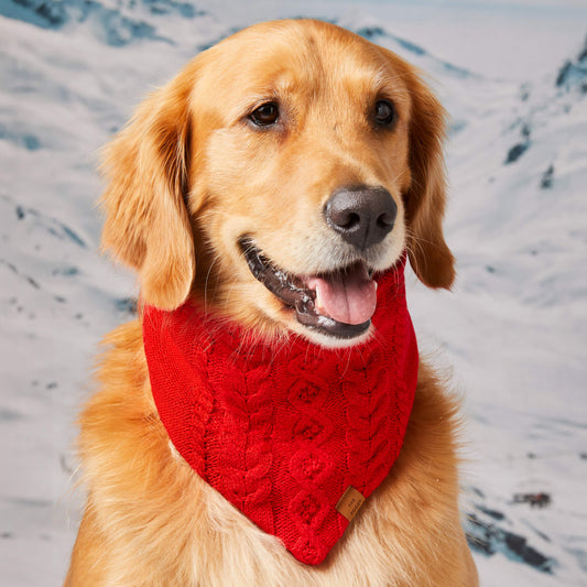 CABLE KNIT DOG BANDANA