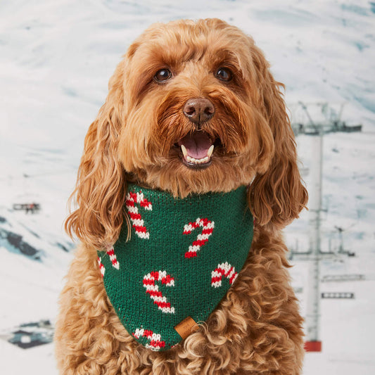 CANDY CANES KNIT DOG BANDANA