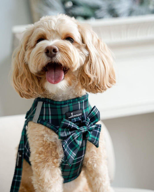 BOW - GREEN PLAID