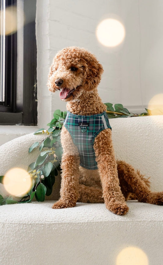 VEST STEP IN HARNESS - GREEN PLAID TARTAN