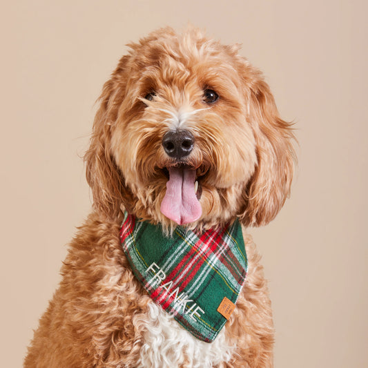 HOLLY JOLLY PLAID FLANNEL DOG BANDANA