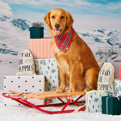 TARTAN PLAID FLANNEL DOG BANDANA