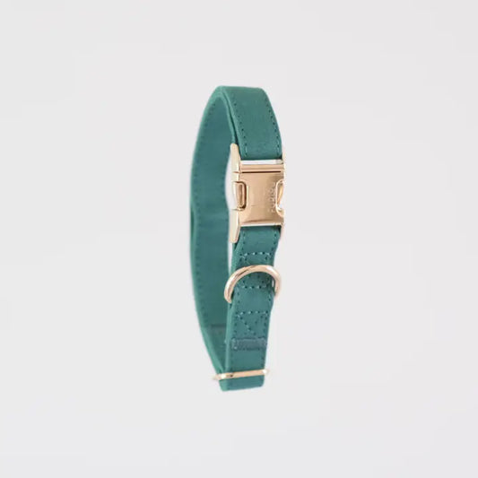 TEAL-DOG COLLAR