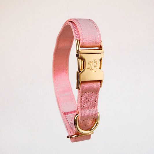 ROSE-DOG COLLAR