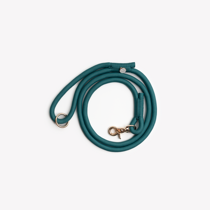 BLUE BRAIDED ROPE LEASH