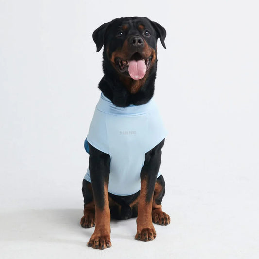 SUNBLOCK DOG T-SHIRT - BLUE