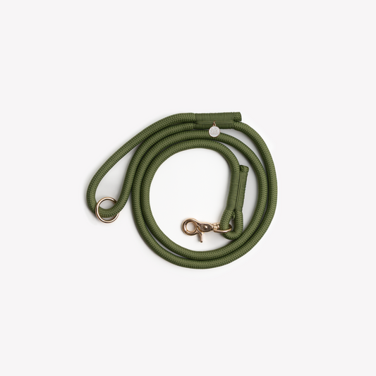 GREEN BRAIDED ROPE LEASH