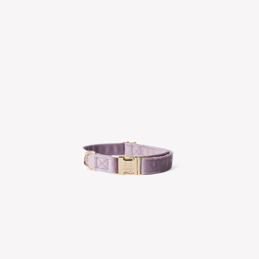 LILAC VELVET COLLAR