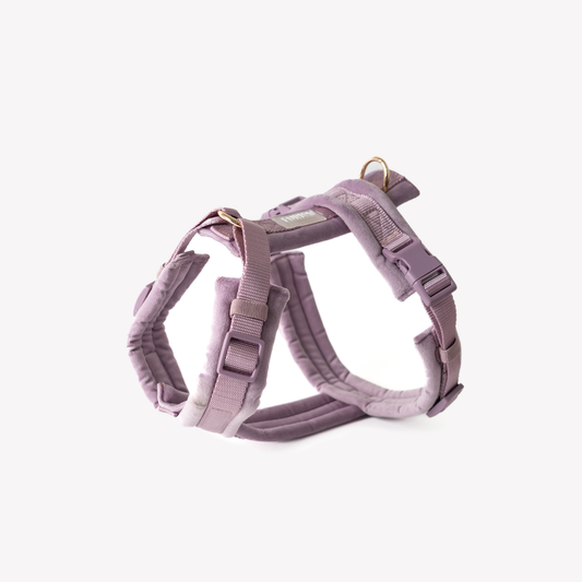 LILAC VELVET DOG HARNESS