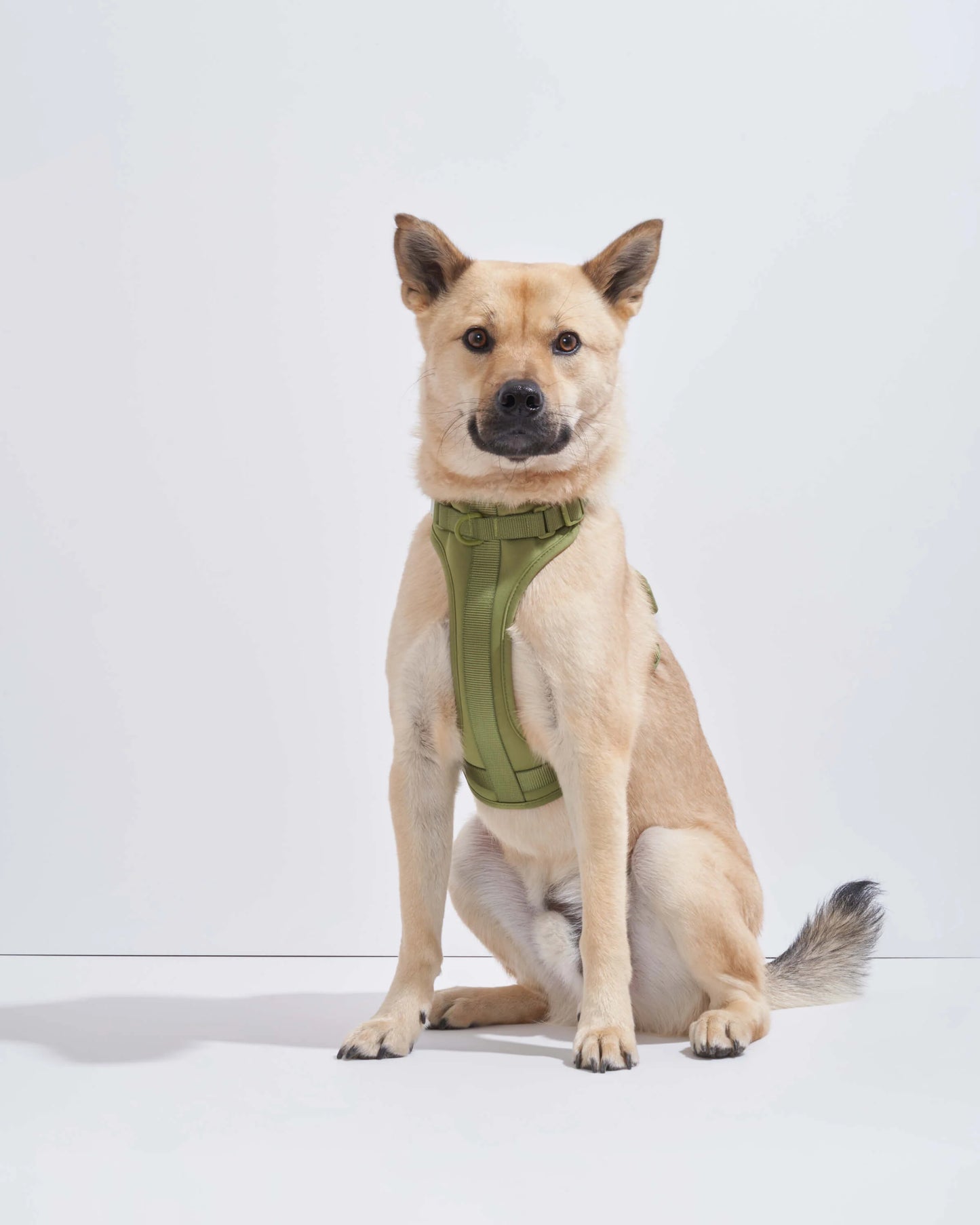 DOG HARNESS MOSS
