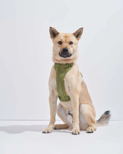 DOG HARNESS MOSS
