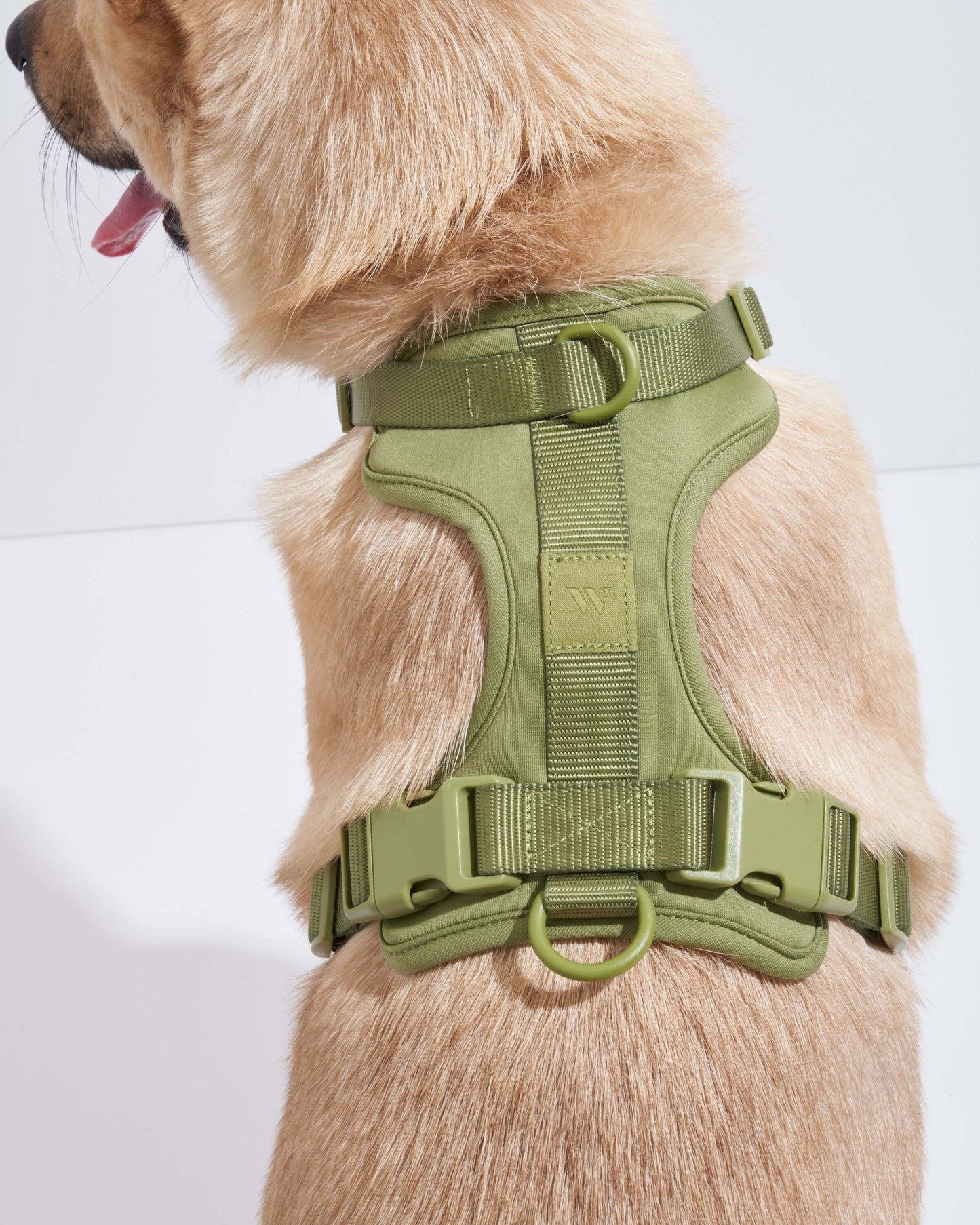 DOG HARNESS MOSS