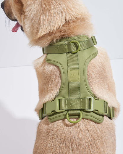 DOG HARNESS MOSS