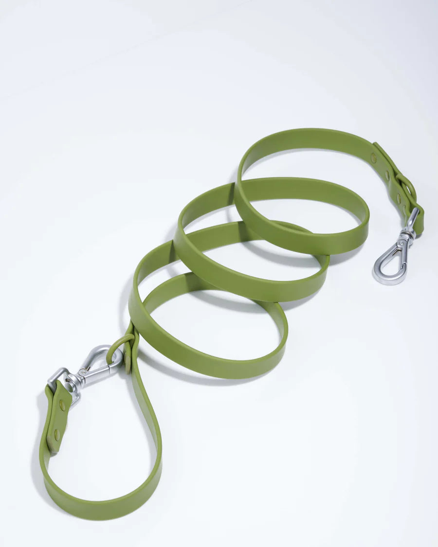DOG LEASH MOSS