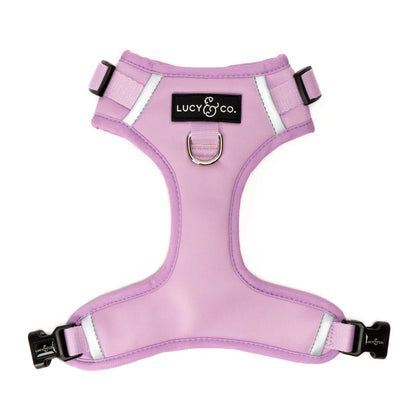 LUCY & CO NO-PULL HARNESS