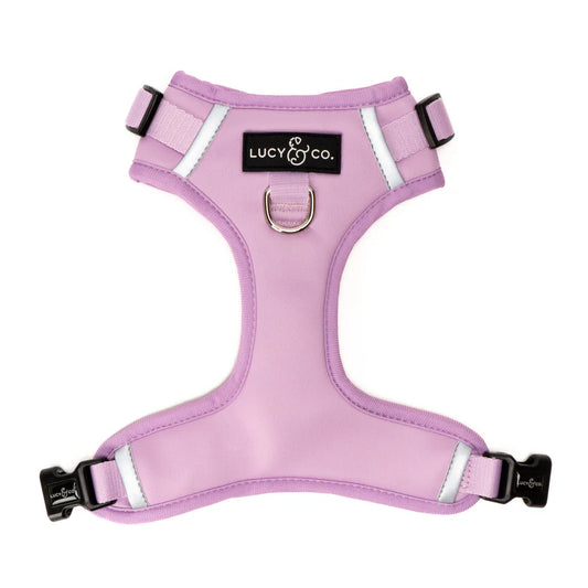 LUCY & CO NO-PULL HARNESS